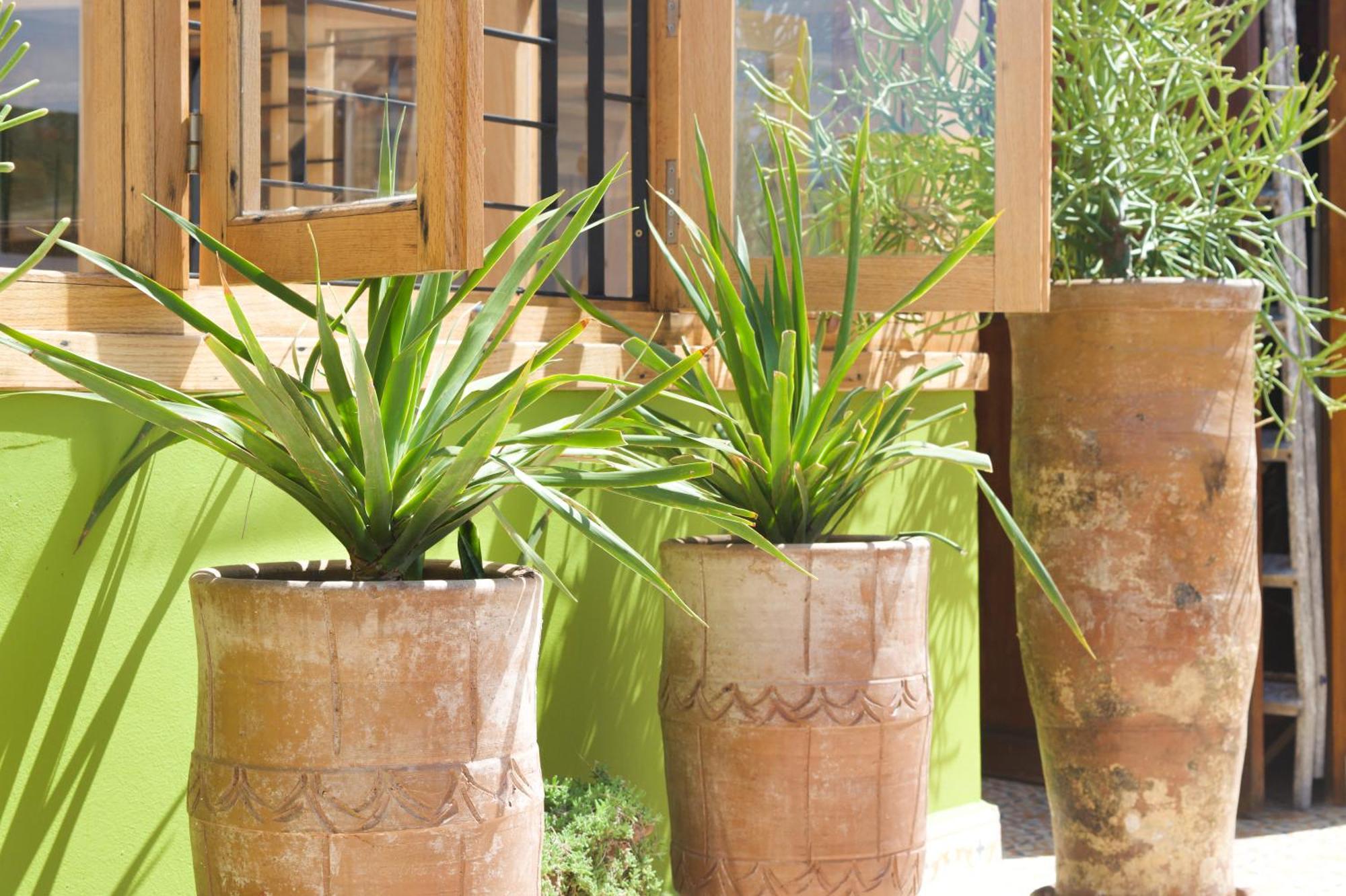 Riad Le Khan Mogador Essaouira Eksteriør billede